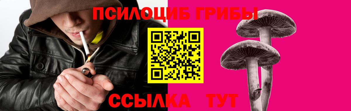 Псилоцибиновые грибы ЛСД  Псилоцибиновые грибы Psilocybe  Вход с VPN  Березники 